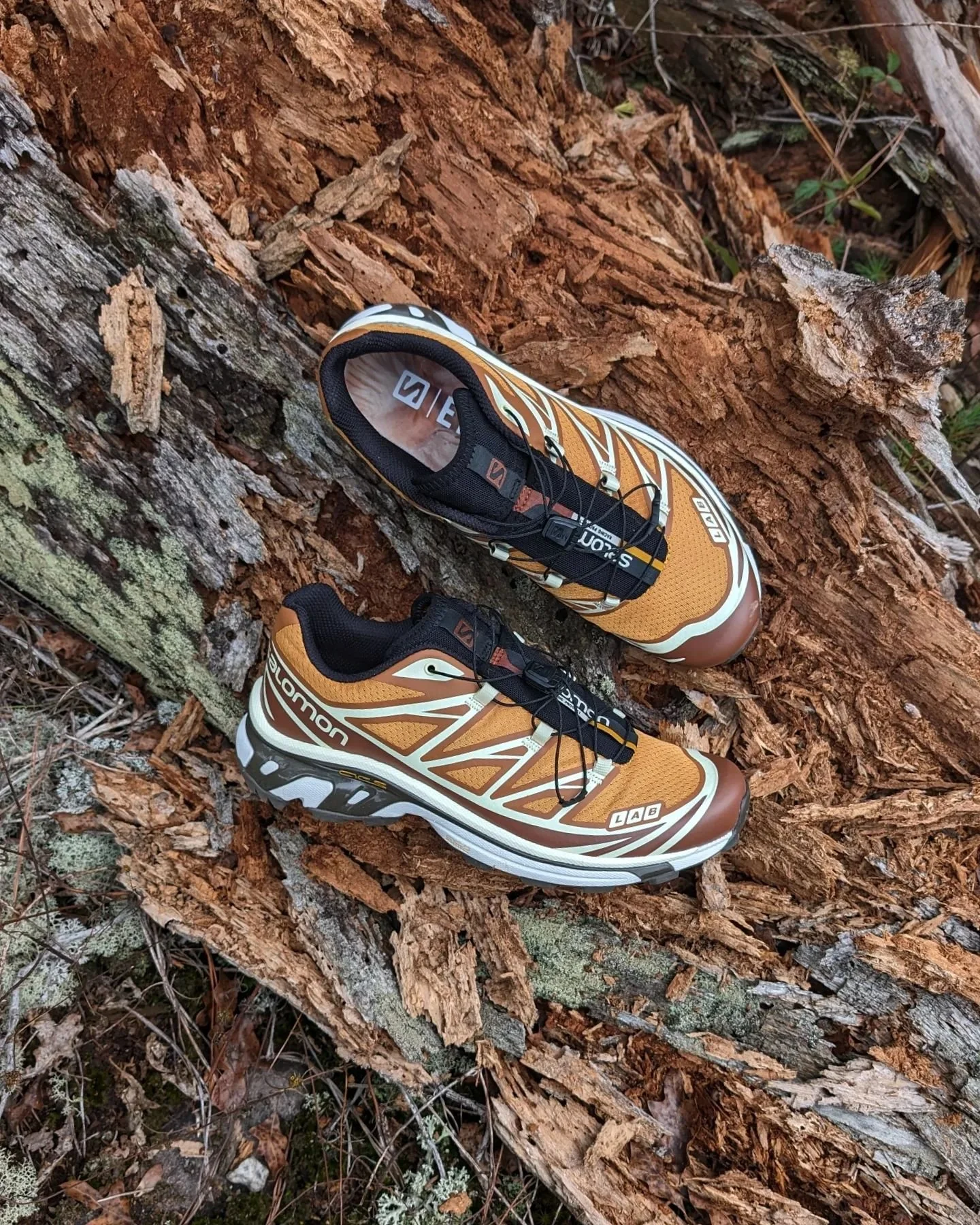END. Salomon XT-6 Porcini エンド サロモン ポルチーニ END. Salomon XT-6 Porcini エンド サロモン ポルチーニ